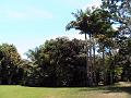 28 - Jardin des eaux 017